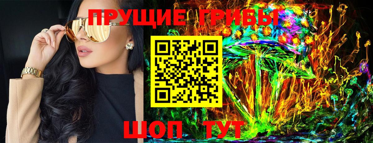 Галлюциногенные грибы Psilocybine cubensis  Вход с VPN  Спасск-Дальний 